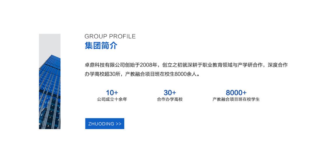 集团简介-卓鼎信息