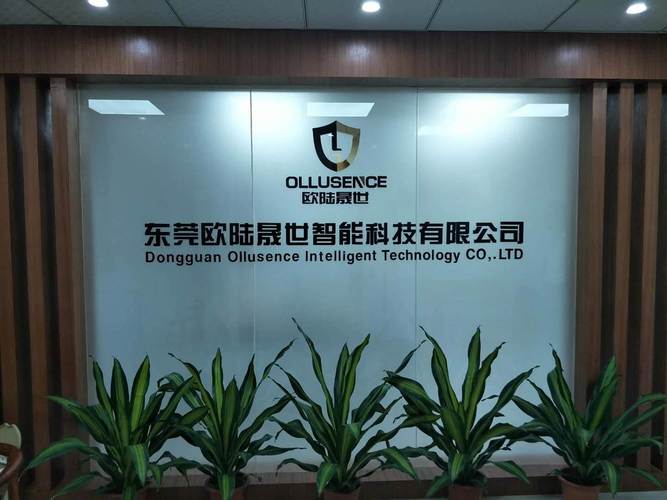 欧陆晟世人脸识别锁厂家推荐sv609