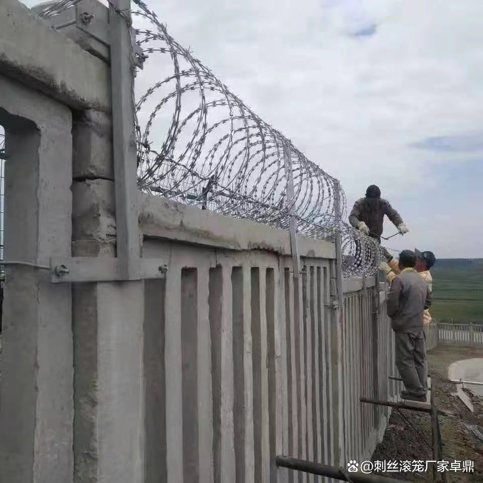 刺丝滚笼a庆阳市刺丝滚笼a刺丝滚笼卓鼎厂家